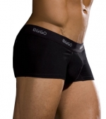 Gigo Traditional Solid Trunk